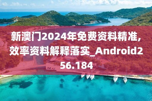 新澳门2024年免费资料精准,效率资料解释落实_Android256.184