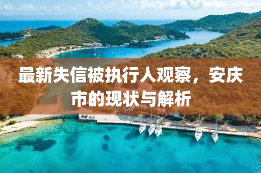 最新失信被执行人观察，安庆市的现状与解析