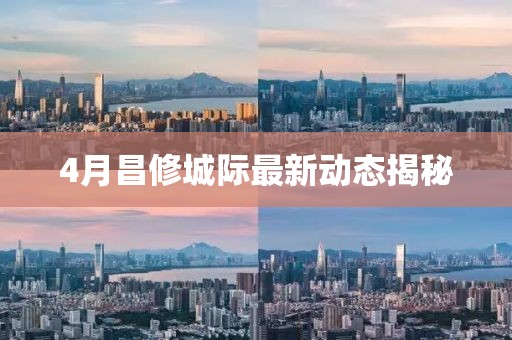 回转马达 第5页