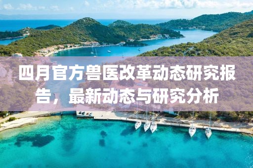 四月官方兽医改革动态研究报告，最新动态与研究分析