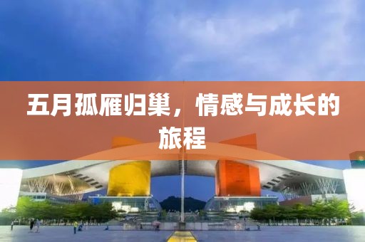 五月孤雁归巢，情感与成长的旅程