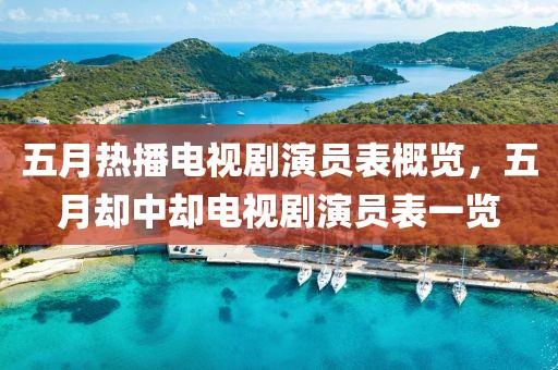 五月热播电视剧演员表概览，五月却中却电视剧演员表一览