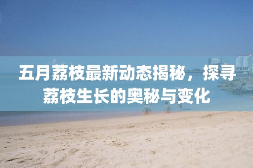 五月荔枝最新动态揭秘，探寻荔枝生长的奥秘与变化