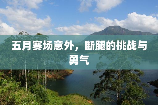 回转马达 第3页