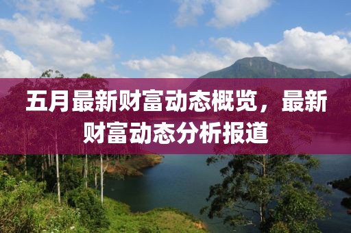 五月最新财富动态概览，最新财富动态分析报道