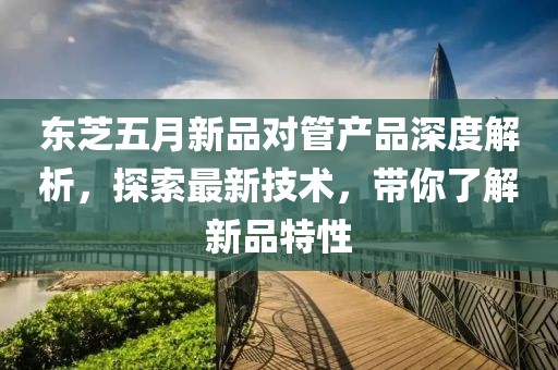 东芝五月新品对管产品深度解析，探索最新技术，带你了解新品特性
