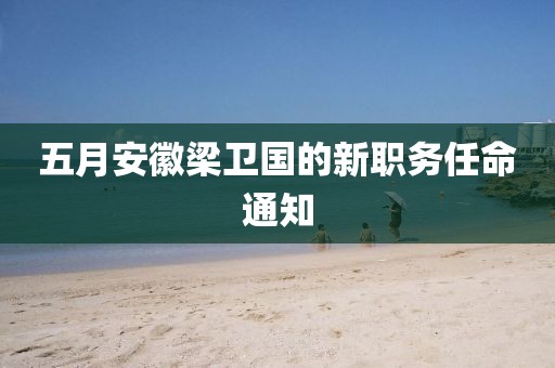 五月安徽梁卫国的新职务任命通知