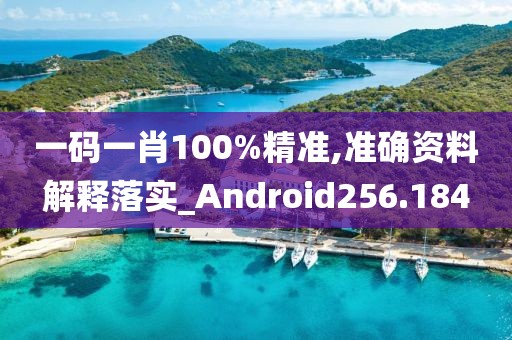一码一肖100%精准,准确资料解释落实_Android256.184