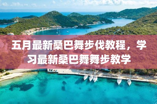 五月最新桑巴舞步伐教程，学习最新桑巴舞舞步教学