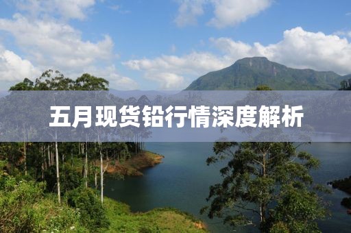 五月现货铅行情深度解析