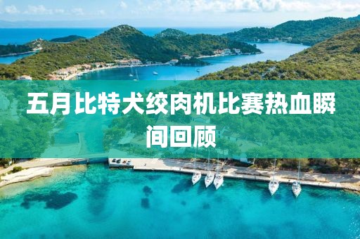 五月比特犬绞肉机比赛热血瞬间回顾