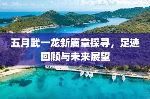 五月武一龙新篇章探寻，足迹回顾与未来展望