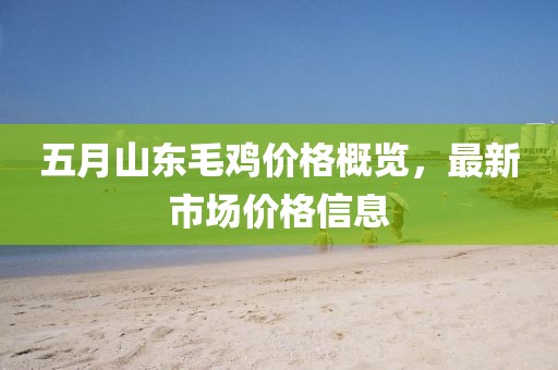 五月山东毛鸡价格概览，最新市场价格信息
