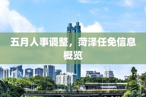 五月人事调整，菏泽任免信息概览