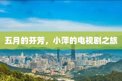 五月的芬芳，小萍的电视剧之旅
