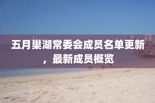 五月巢湖常委会成员名单更新，最新成员概览