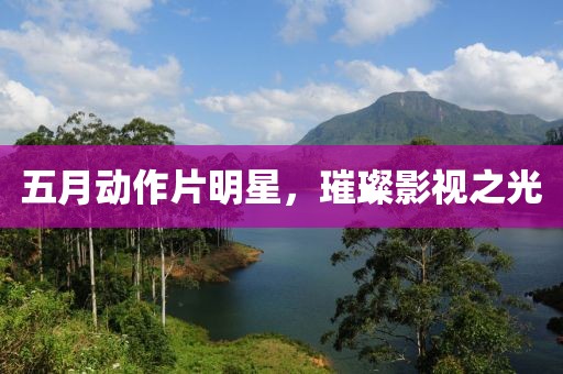 五月动作片明星，璀璨影视之光