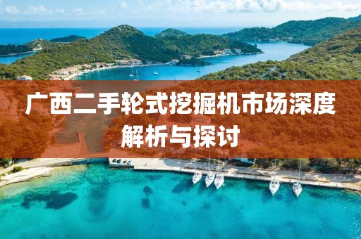 广西二手轮式挖掘机市场深度解析与探讨