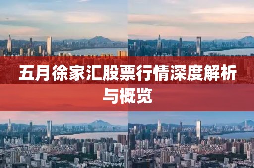 五月徐家汇股票行情深度解析与概览