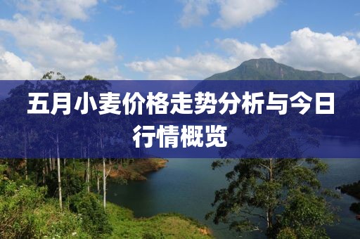 五月小麦价格走势分析与今日行情概览