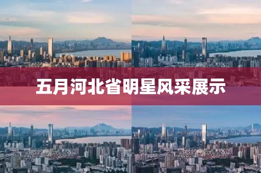 五月河北省明星风采展示