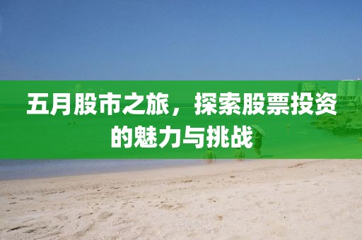 五月股市之旅，探索股票投资的魅力与挑战
