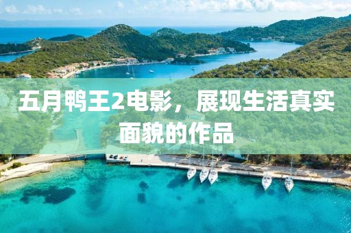 五月鸭王2电影，展现生活真实面貌的作品