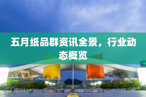 五月纸品群资讯全景，行业动态概览