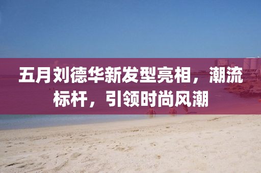 五月刘德华新发型亮相，潮流标杆，引领时尚风潮