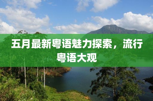 五月最新粤语魅力探索，流行粤语大观