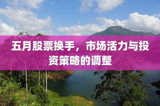 五月股票换手，市场活力与投资策略的调整