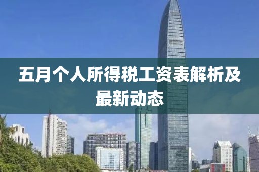 五月个人所得税工资表解析及最新动态