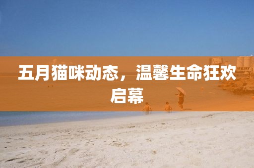五月猫咪动态，温馨生命狂欢启幕