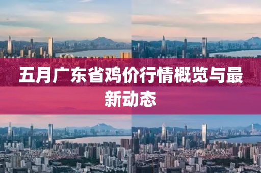 五月广东省鸡价行情概览与最新动态