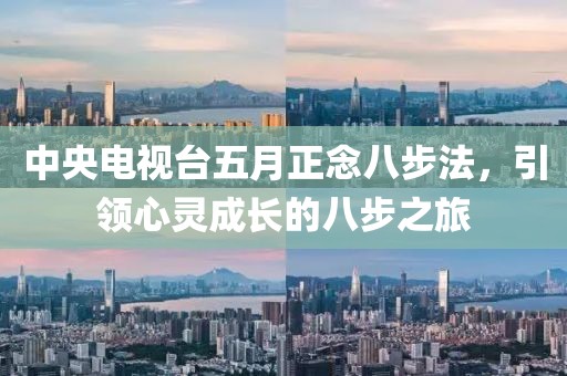 中央电视台五月正念八步法，引领心灵成长的八步之旅
