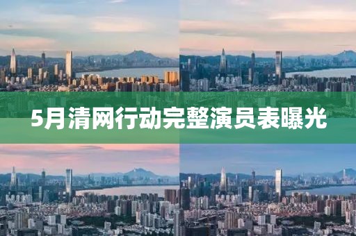 5月清网行动完整演员表曝光