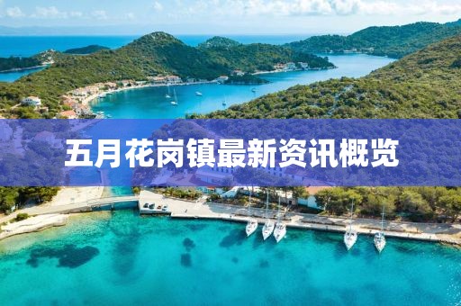 五月花岗镇最新资讯概览