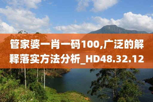 管家婆一肖一码100,广泛的解释落实方法分析_HD48.32.12
