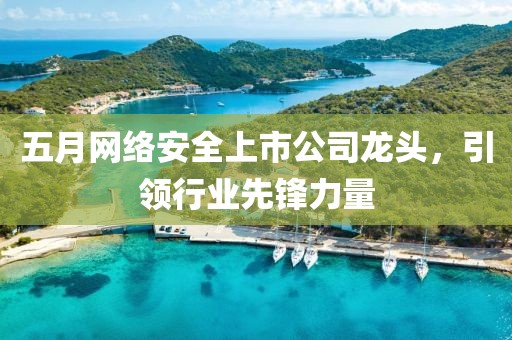 五月网络安全上市公司龙头，引领行业先锋力量
