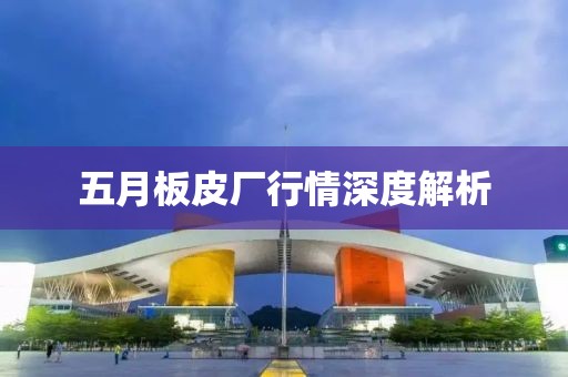 五月板皮厂行情深度解析