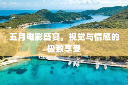五月电影盛宴，视觉与情感的极致享受