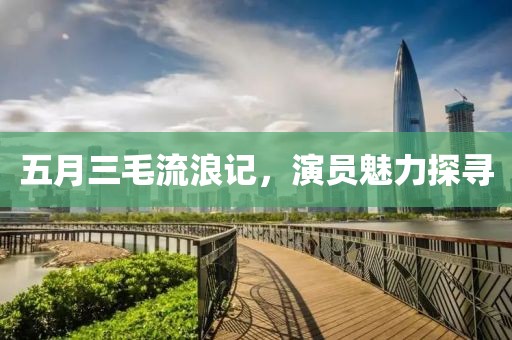 五月三毛流浪记，演员魅力探寻