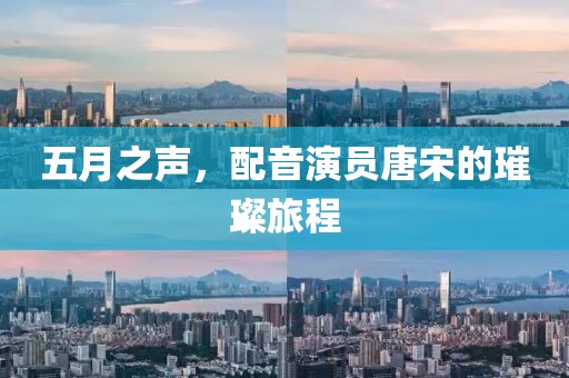 五月之声，配音演员唐宋的璀璨旅程