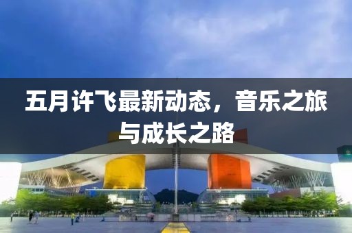 五月许飞最新动态，音乐之旅与成长之路