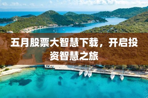 五月股票大智慧下载，开启投资智慧之旅