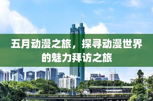 五月动漫之旅，探寻动漫世界的魅力拜访之旅