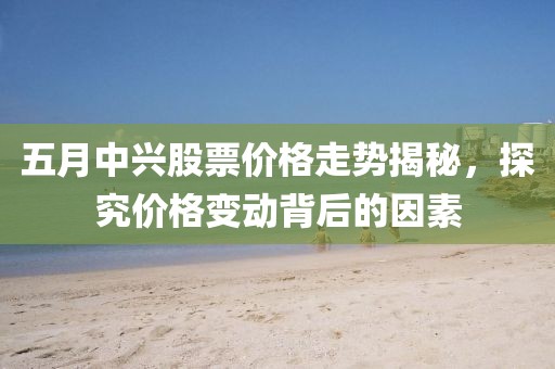 五月中兴股票价格走势揭秘，探究价格变动背后的因素