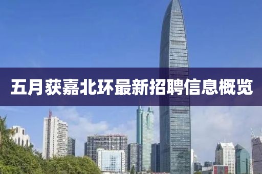 五月获嘉北环最新招聘信息概览