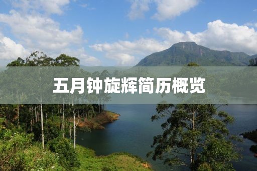 五月钟旋辉简历概览