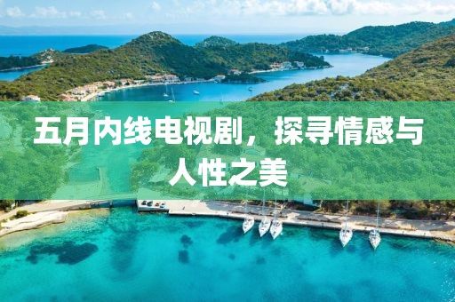 五月内线电视剧，探寻情感与人性之美